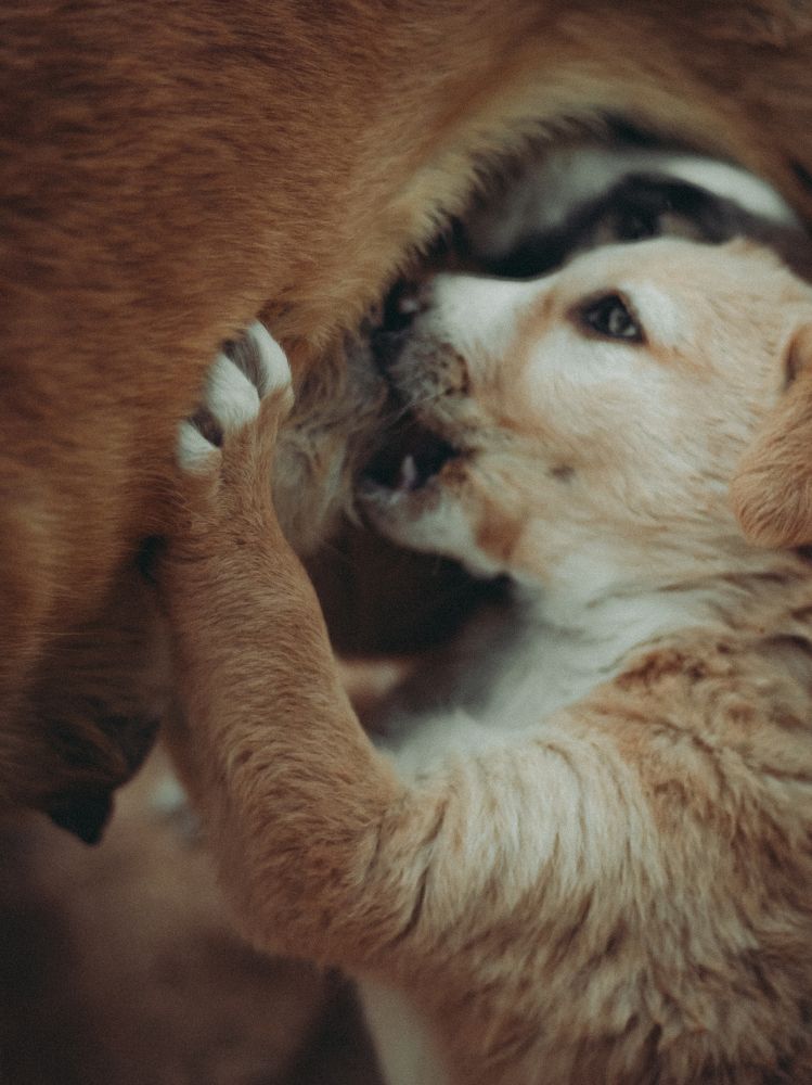 Photograph by Rishi Vyas