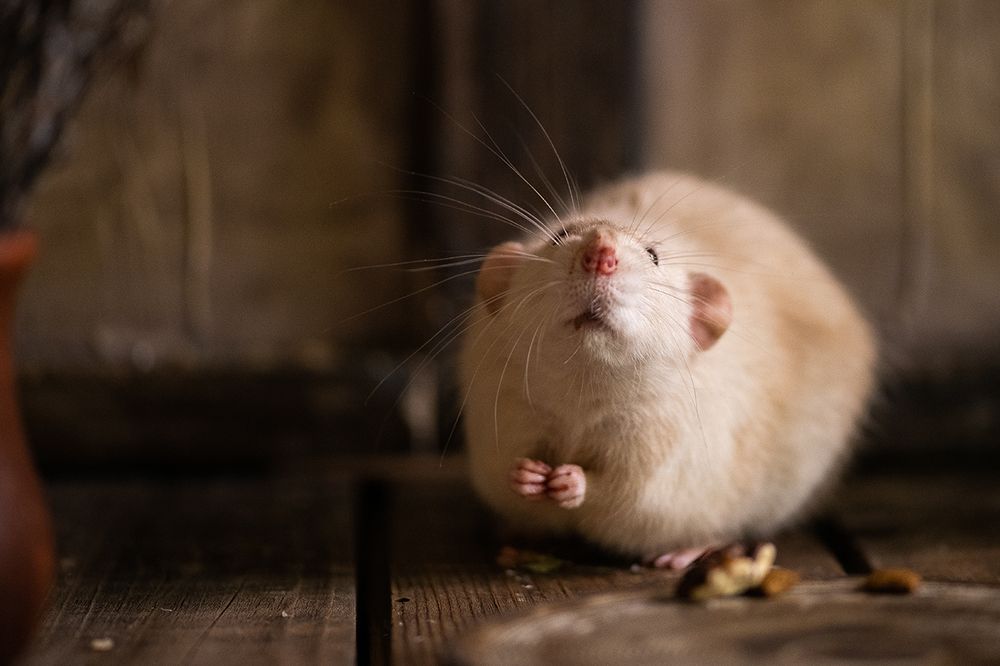 Photograph by Светлана Кужагалиева