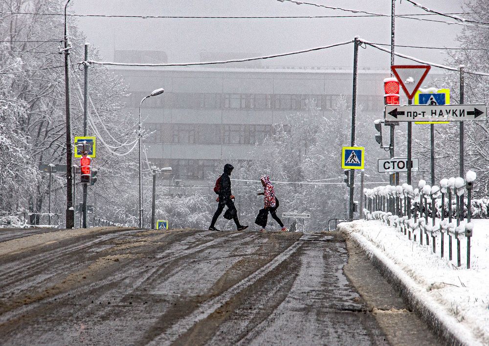 Photograph by Анатолий Веремеев