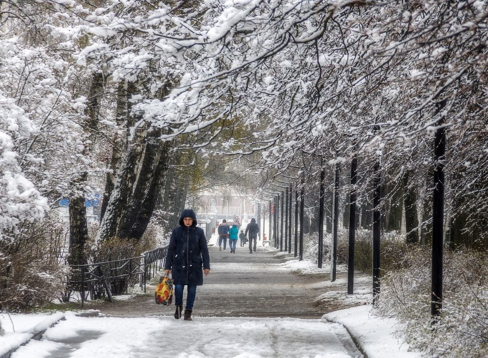 Photograph by Анатолий Веремеев