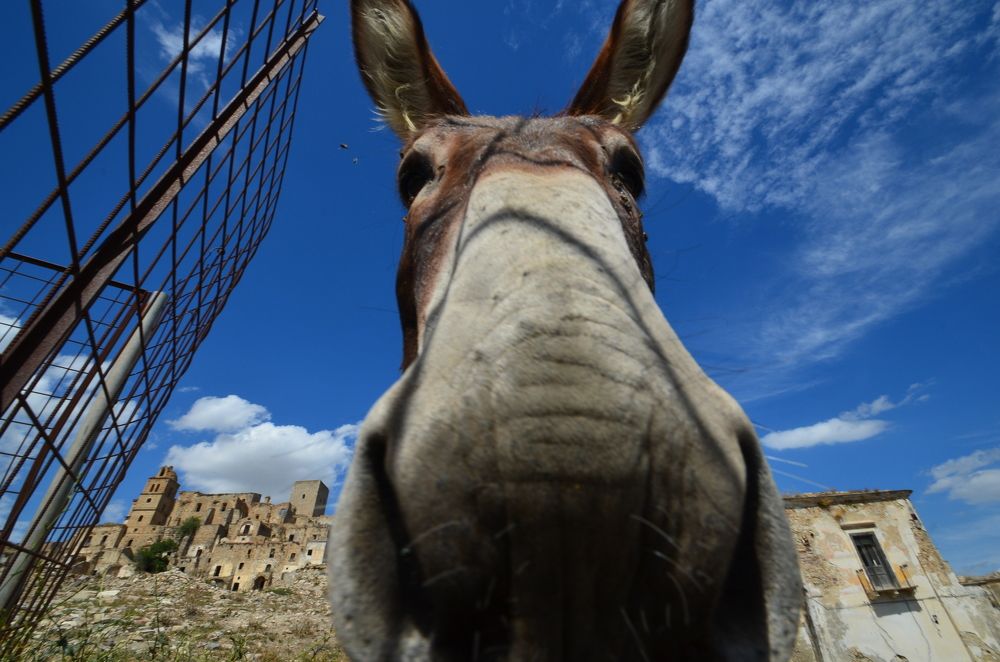 Photograph by Pierluigi Peis