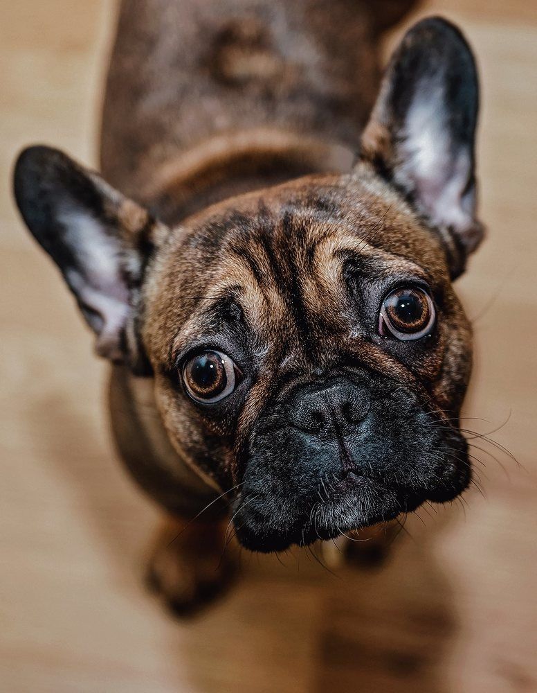 Photograph by Dace Spalviņa