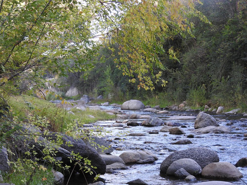 Photograph by Cristina Bosio Ferrer