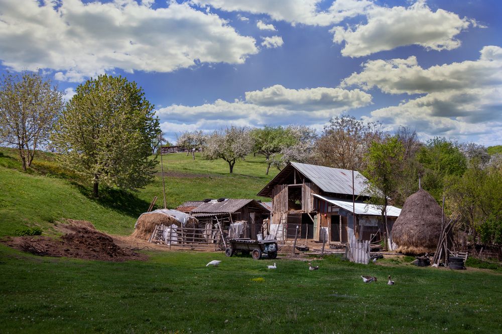 Photograph by dan andrei