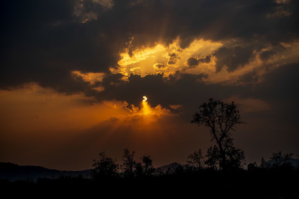 Photograph by Aashish Lall