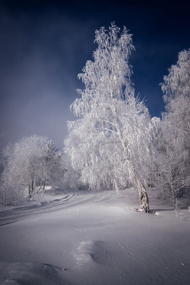 Фотография автора Александр Рудный