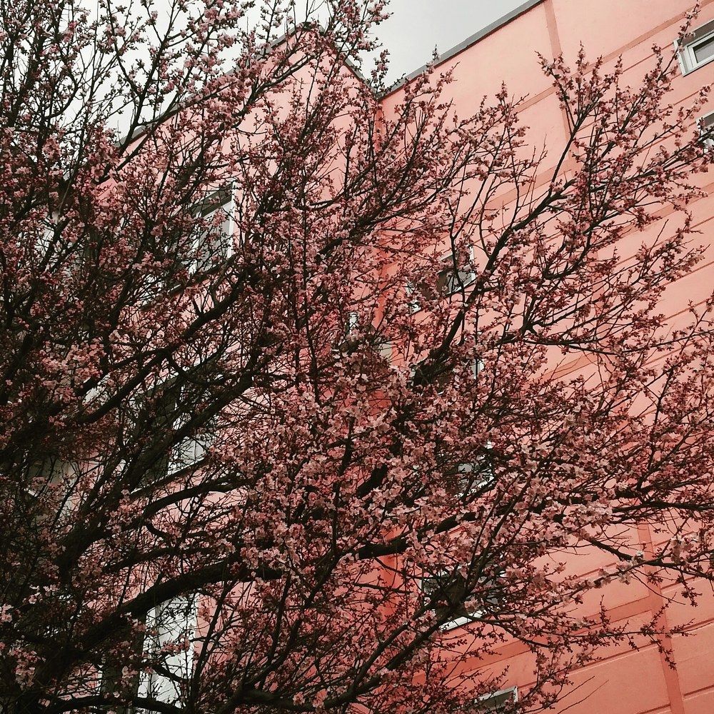 Photograph by Егор Лузан