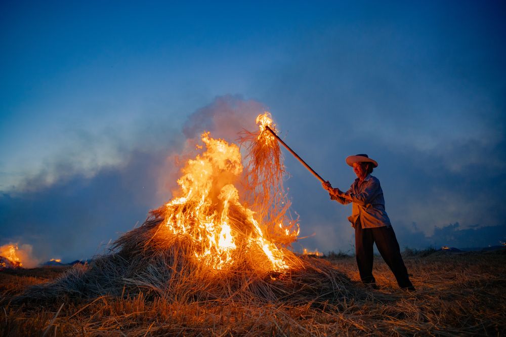 Photograph by ĐỖ HẬU