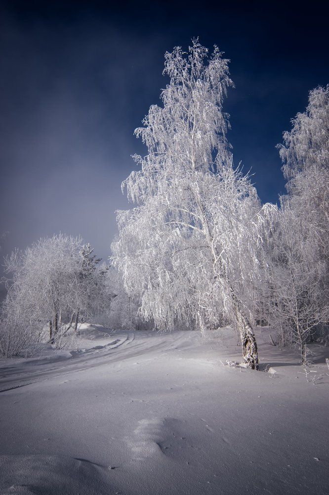 Фотография автора Александр Рудный