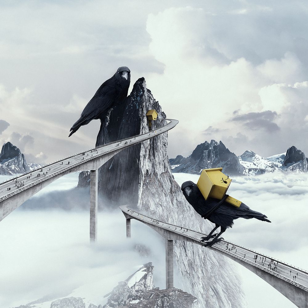 INSIGNIFICANT HUMAN BEING