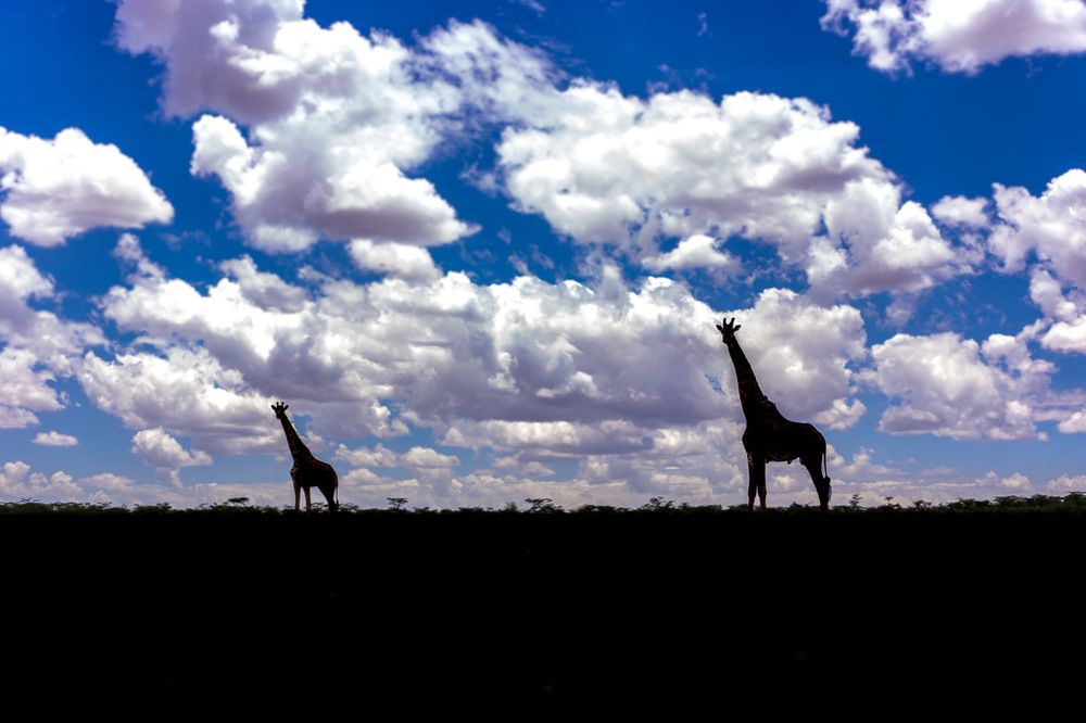 Photograph by Srikanth Santhinathan