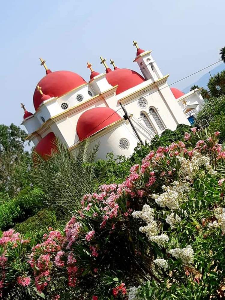 Розовые купола...