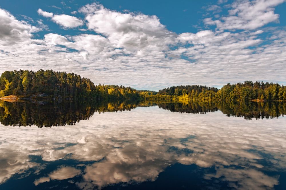 Фотография автора Евгений Ерохин
