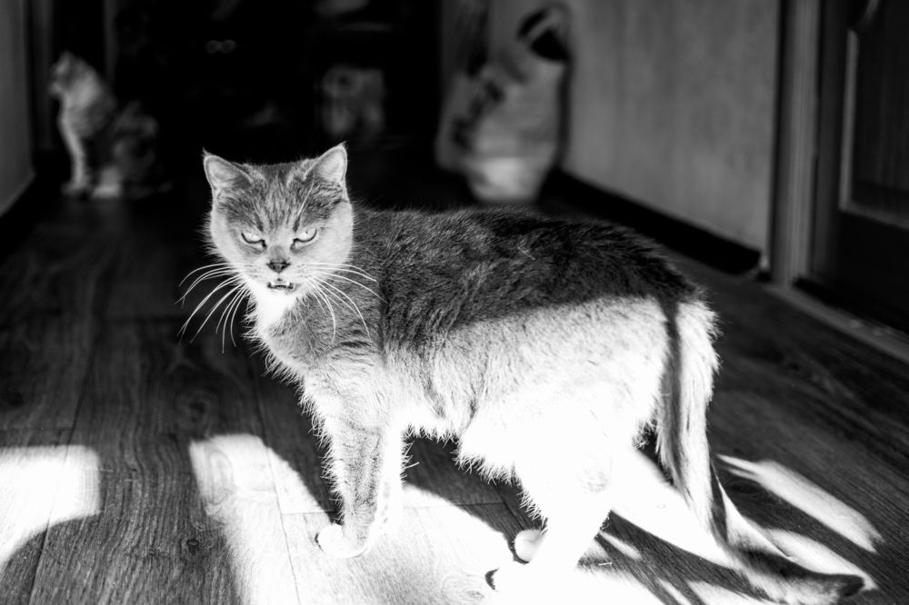 Photograph by Екатерина Хакимова