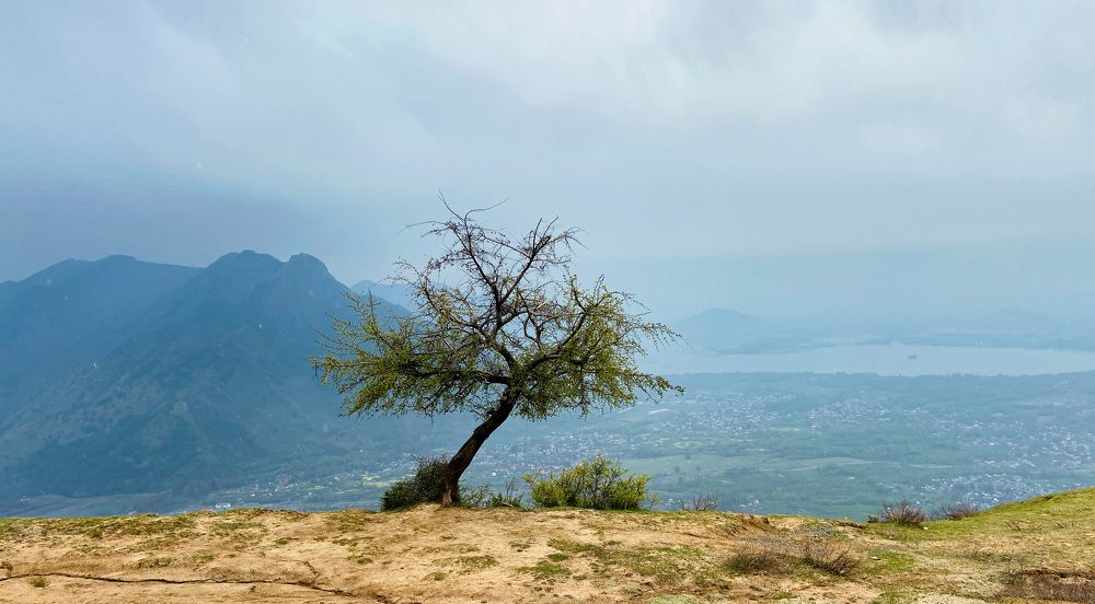 Photograph by Malik Sajid