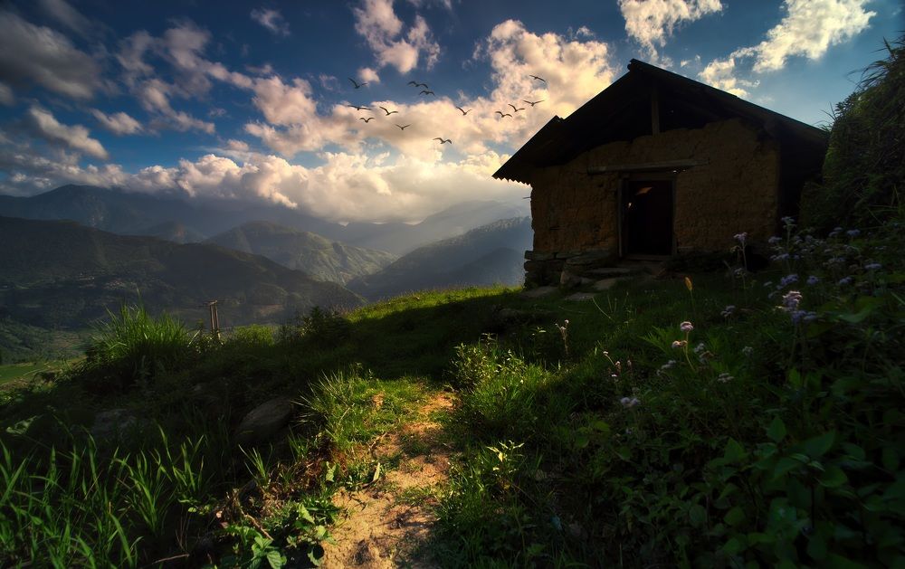 Little house on the meadow