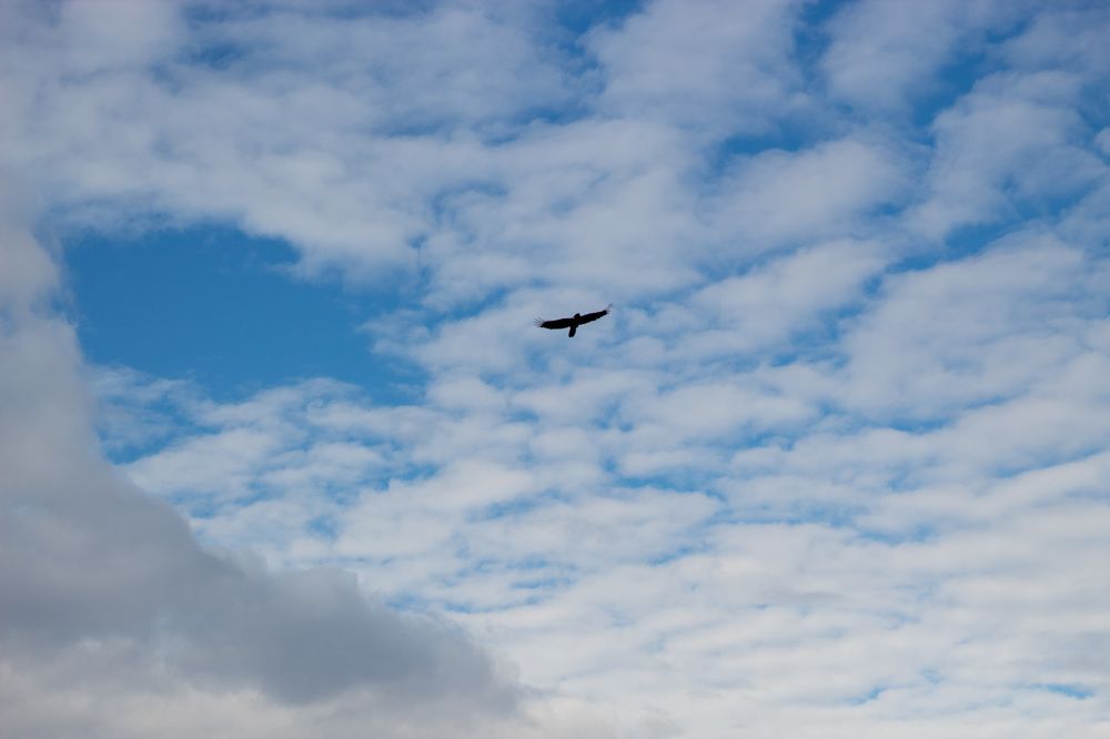 Photograph by Наталья Брунилина