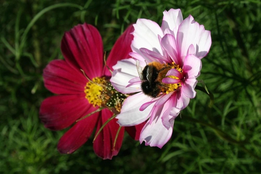 Photograph by Yroslava Veretina