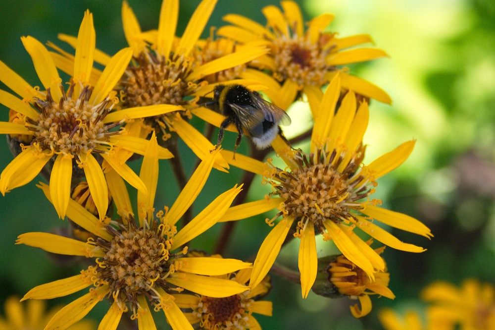 Photograph by Yroslava Veretina