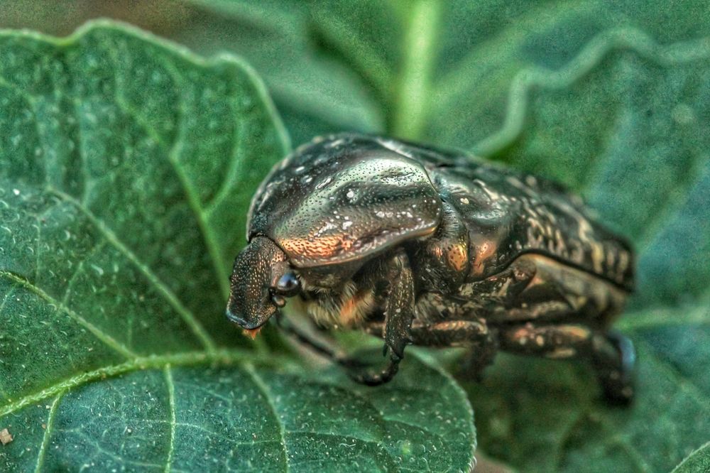 Photograph by Наталья Брунилина