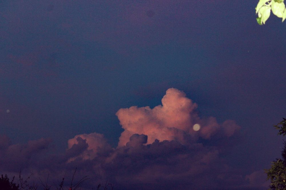 Photograph by Дарья Ермакова