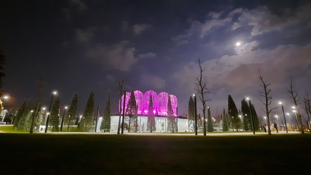 Photograph by Юлия Шашорина