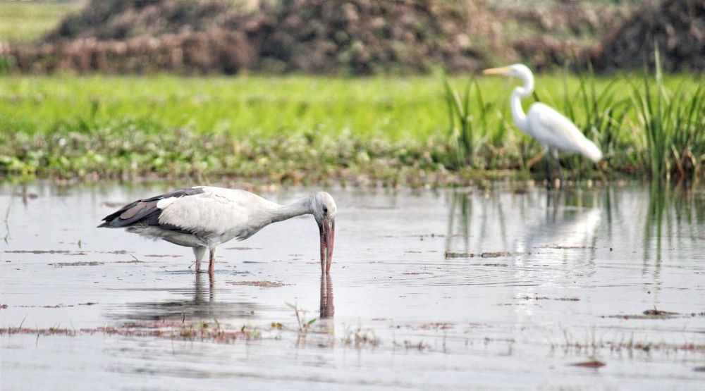 Photograph by Diganto Ghosh