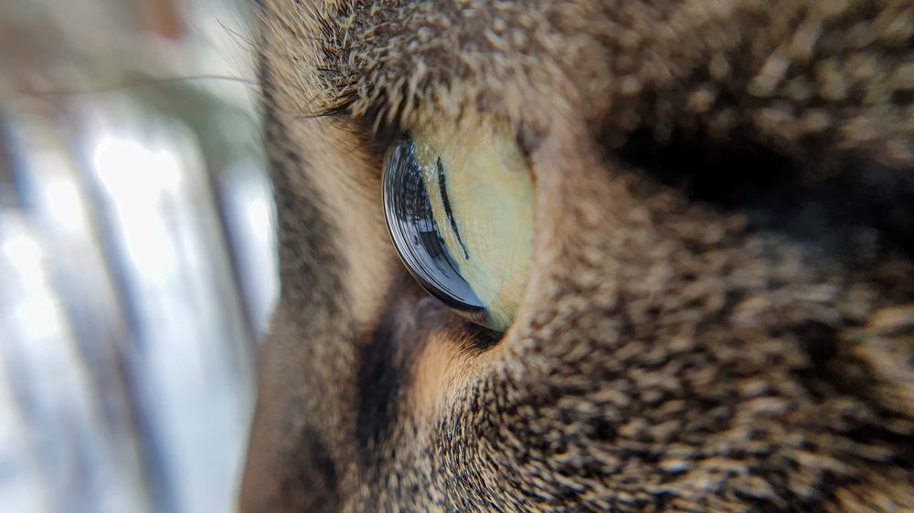 Photograph by Aksana Shvydkova