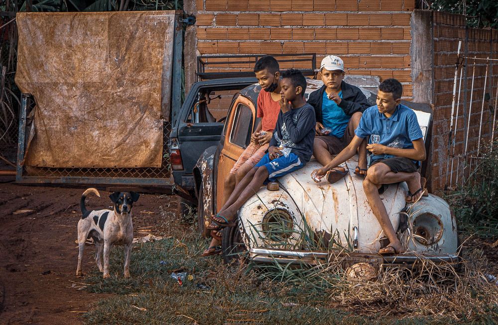 Os herdeiros da pandemia