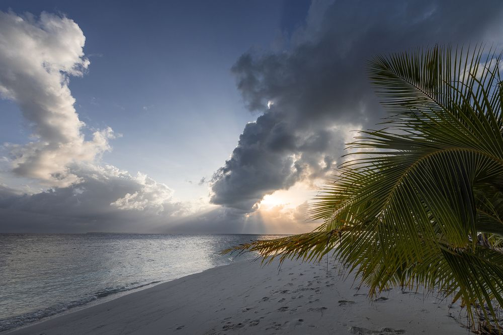 Photograph by Karen Khachaturyants