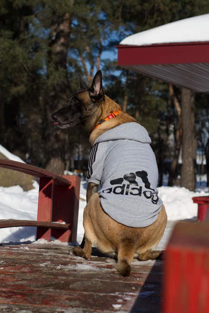 Фотография автора Анна Яковенко