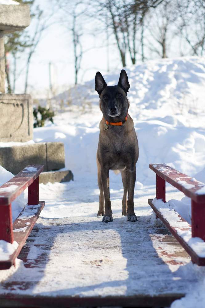 Фотография автора Анна Яковенко