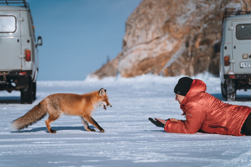 Photograph by Игорь Русинов