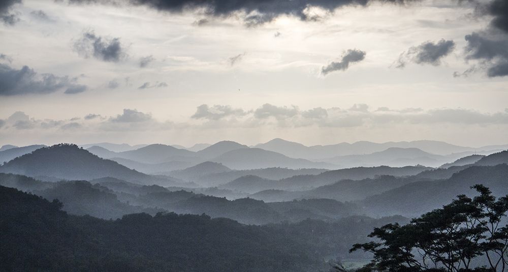 Photograph by Shreeharan Rajasingham
