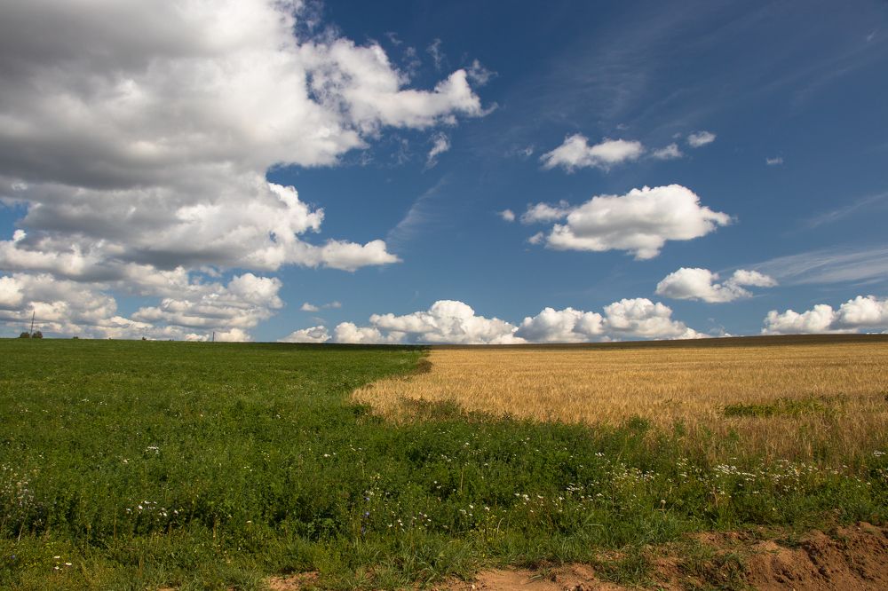 Photograph by Валерия Деменева
