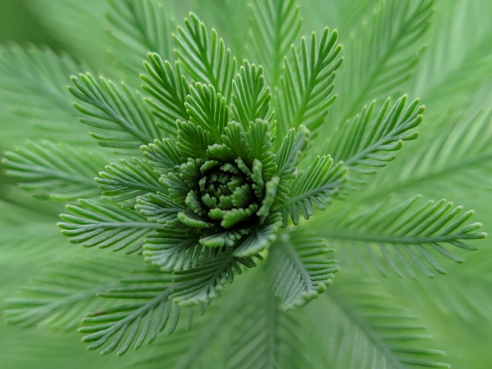 Photograph by Anggi Anggi