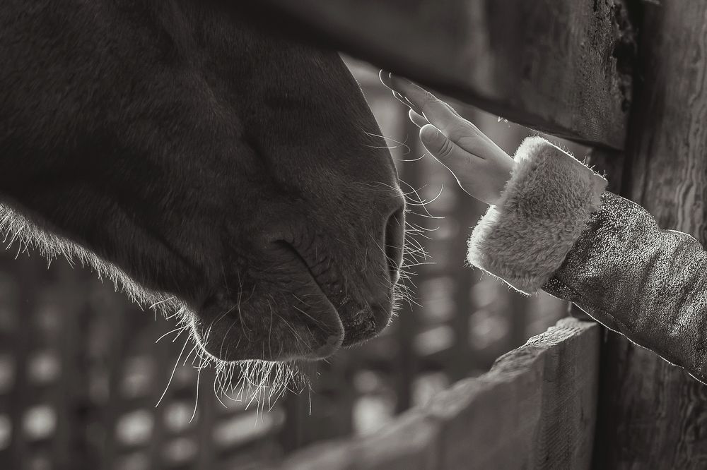 Photograph by Татьяна Маклакова