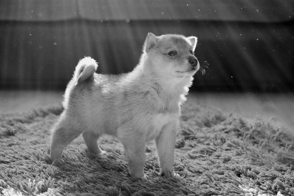 Photograph by Оксана Артемьева