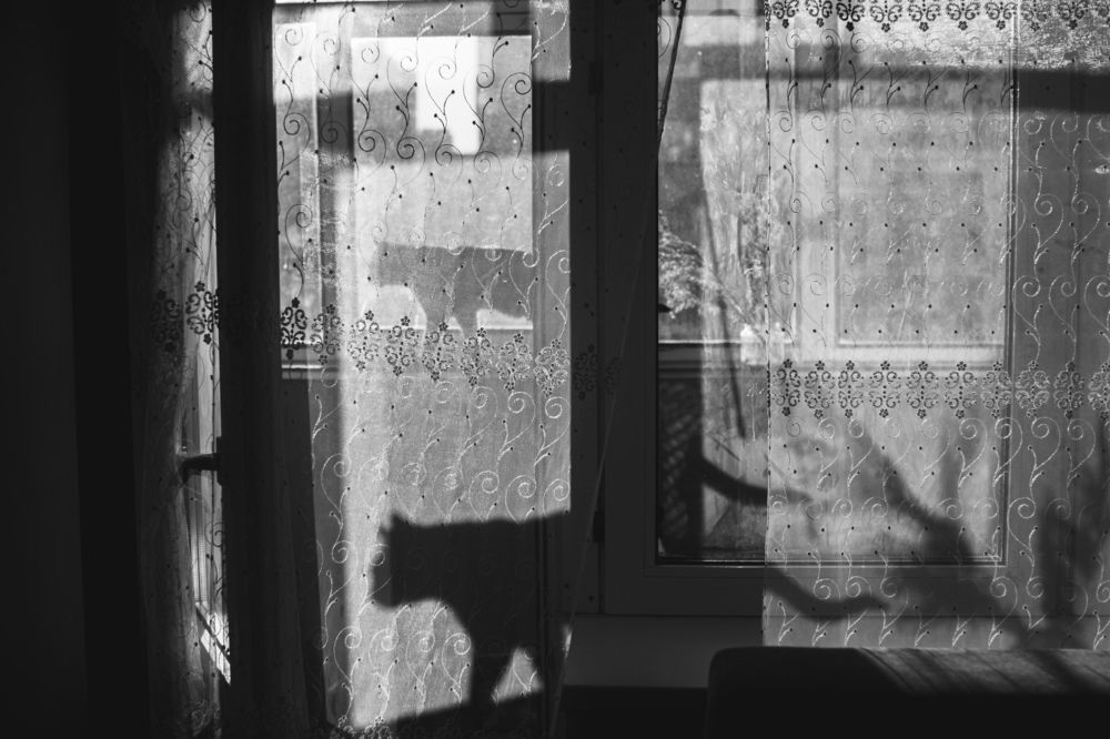 Photograph by Оксана Артемьева