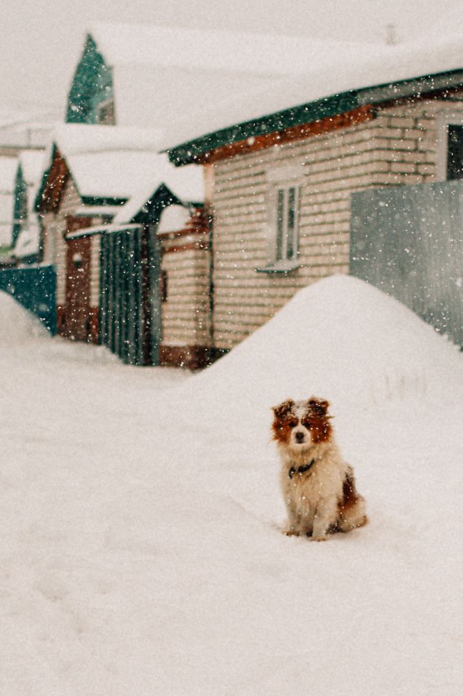 Photograph by Оксана Артемьева