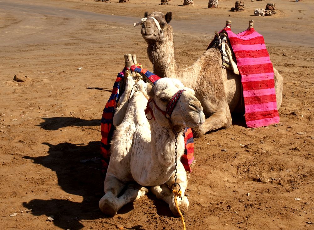 Photograph by Сергей Пупков