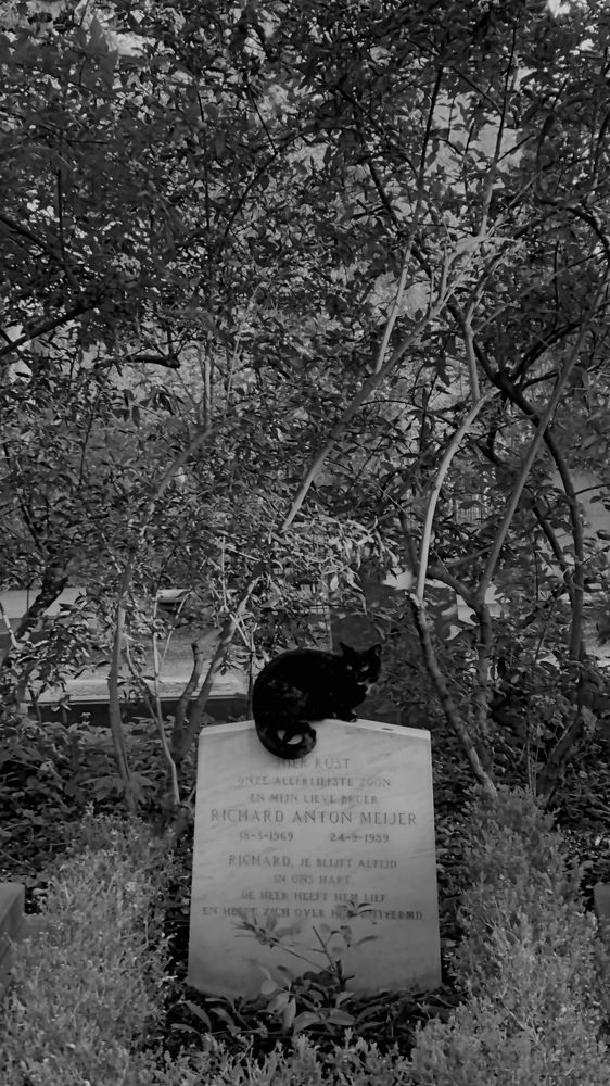 Photograph by Pritam