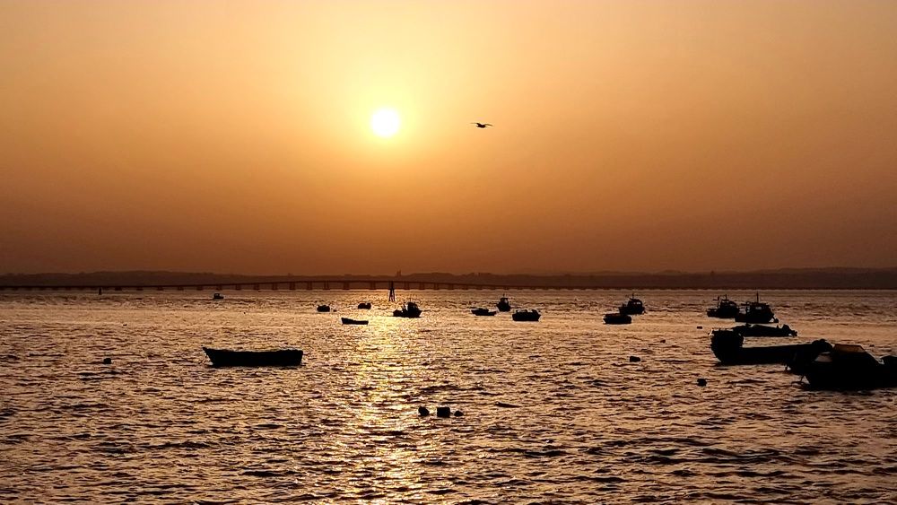 Sunset lovers