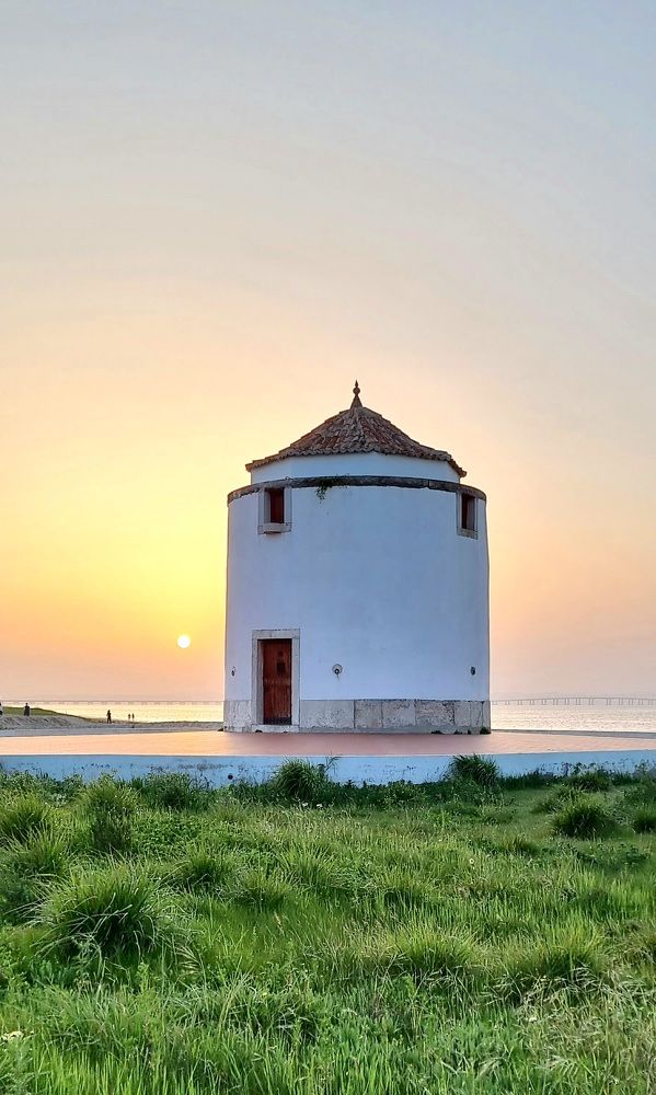 Photograph by Constantin Bordianu