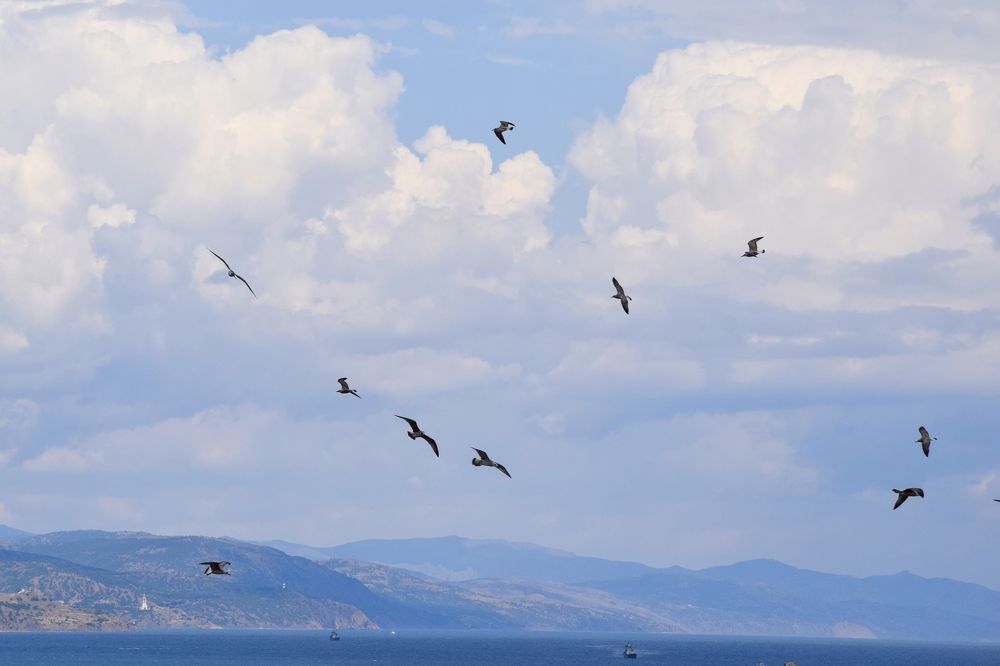 Photograph by Елена Рязанова