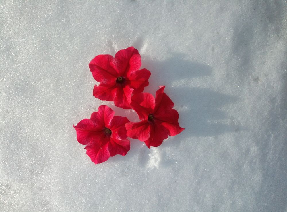 Photograph by Гульназ Янбахтина