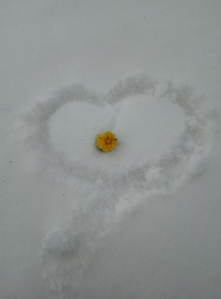 Photograph by Гульназ Янбахтина