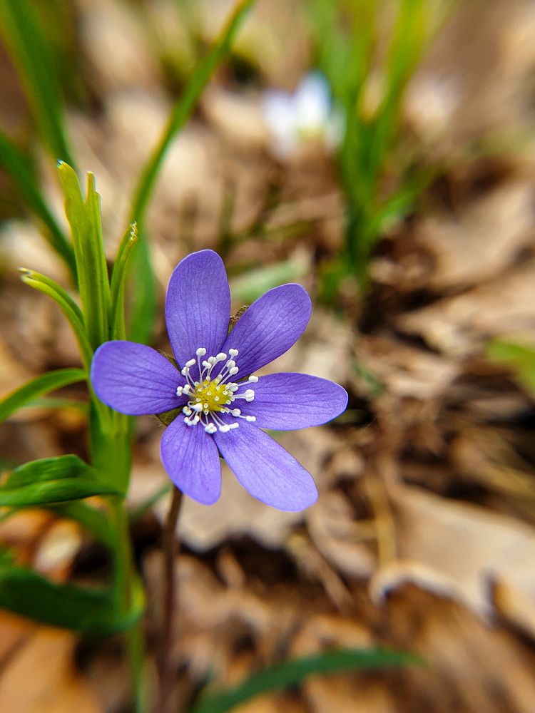 Photograph by Aksana Shvydkova