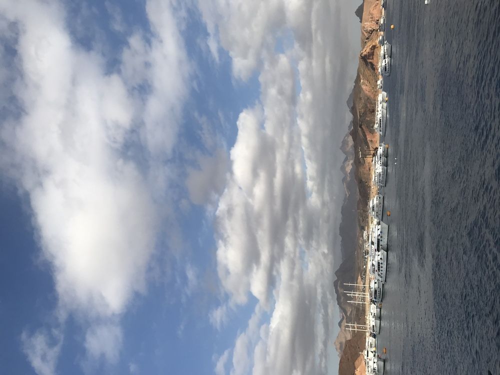 Photograph by Мария Берёзка