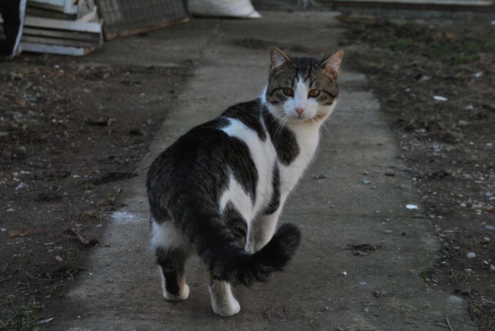 Photograph by Isidora Nikolić